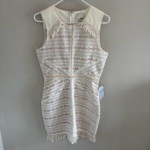 Greylin Lace Fringe Sleeveless Mini Dress.